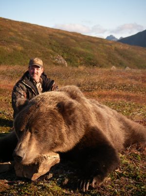 Brown Bear